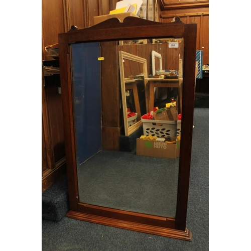 289 - Wooden framed mirror, H98cm.