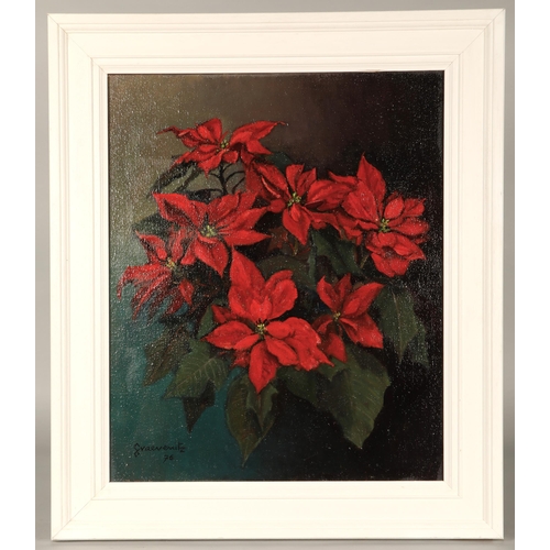 426 - Pamela Graevenitz (Scottish Artist Argyll Based 1920-2005)'Poinsettia'Framed oil on canvas, signed60... 