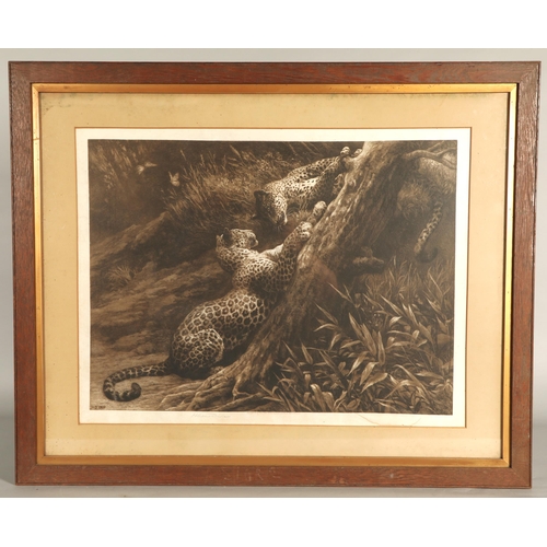 434 - Herbert Thomas Dicksee R.E. (1862-1942)'Two Cheetahs'Framed printsigned and dated 190750cm x 66cm... 