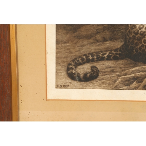 434 - Herbert Thomas Dicksee R.E. (1862-1942)'Two Cheetahs'Framed printsigned and dated 190750cm x 66cm... 