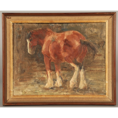 446 - Nancy A Brackett (Scottish Circa 1912-1984)Clydesdale Studyframed oil on boardsigned28cm x 25cmOld l... 