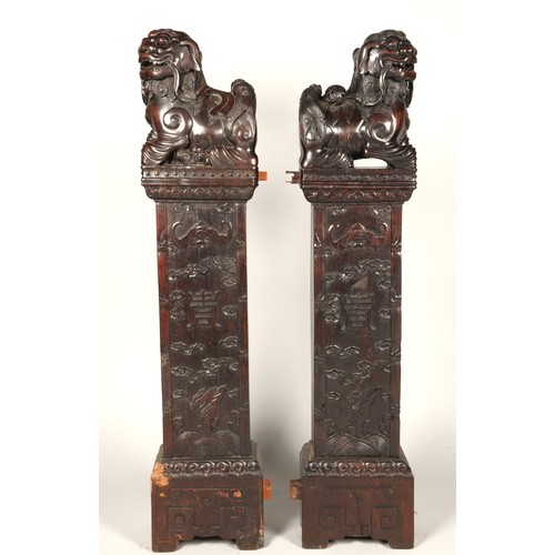 538 - Pair of carved hardwood Chinese foo dogs.128cm high