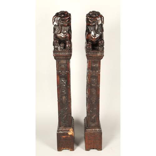 538 - Pair of carved hardwood Chinese foo dogs.128cm high