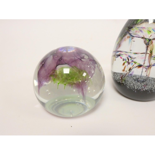 291 - Caithness Glass, three limited edition art glass paperweights to include Sea Kelp 430/1600, Space Fl... 