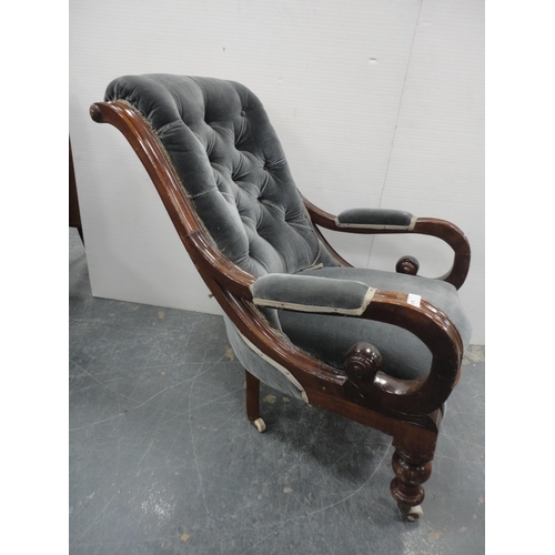 451 - Victorian mahogany-framed button-back open armchair, upholstered in later pale blue Dralon, open scr... 