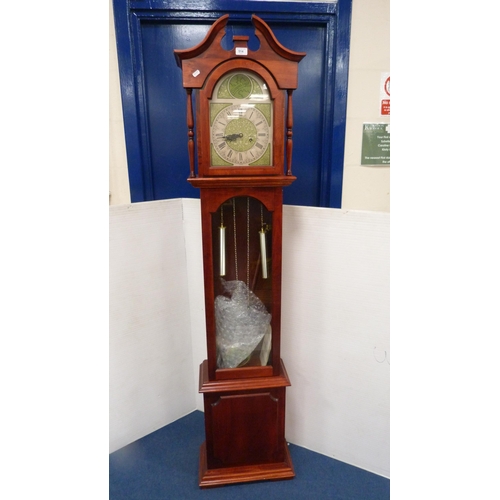 514 - Modern Tempus Fugit longcase clock.