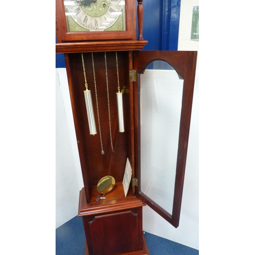 514 - Modern Tempus Fugit longcase clock.