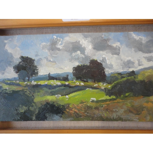 527 - Two framed oils on board of rural landscapes.