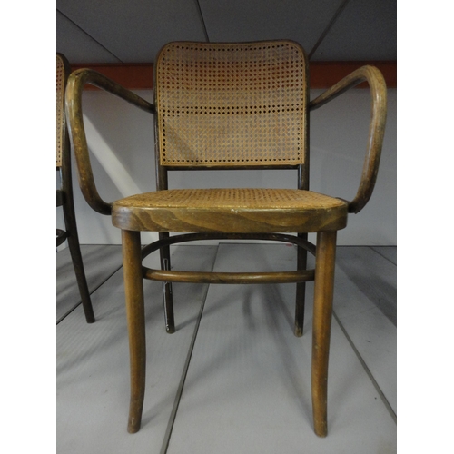 542 - Three matching bentwood bergère cafe chairs, including one carver.  (3)