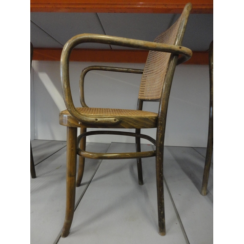 542 - Three matching bentwood bergère cafe chairs, including one carver.  (3)