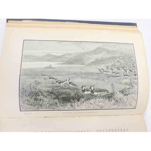 4 - PAYNE-GALLWEY SIR RALPH.  The Fowler in Ireland. Frontis, plates & text illus. Orig. d... 