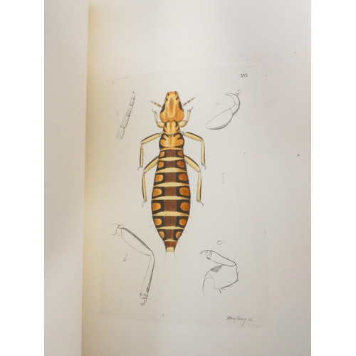 6 - DENNY HENRY.  Monographia Anoplurorum Britanniae or An Essay on the British Species of Par... 