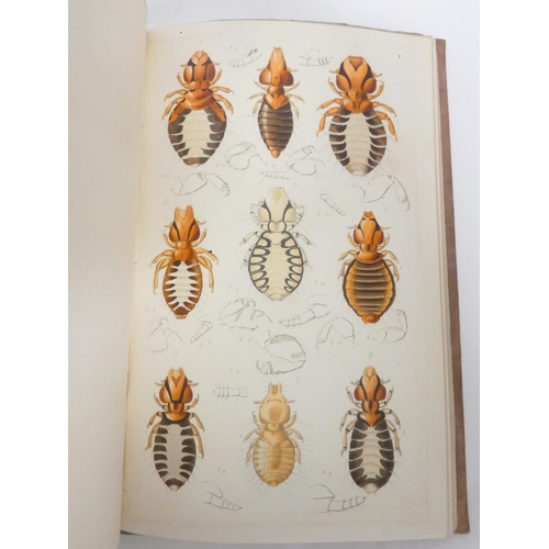 6 - DENNY HENRY.  Monographia Anoplurorum Britanniae or An Essay on the British Species of Par... 