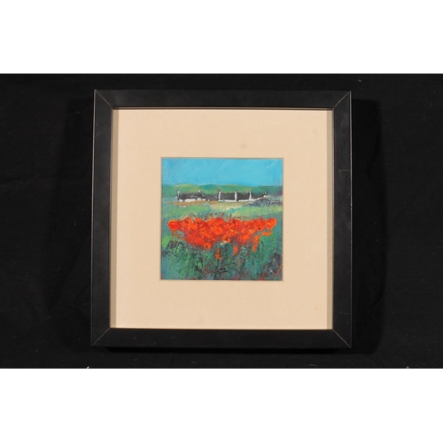 452 - ALISON MIDSON, Field of Poppies, oil painting, signed lower left, 12cm x 12cm, frame 26cm x 26cm.