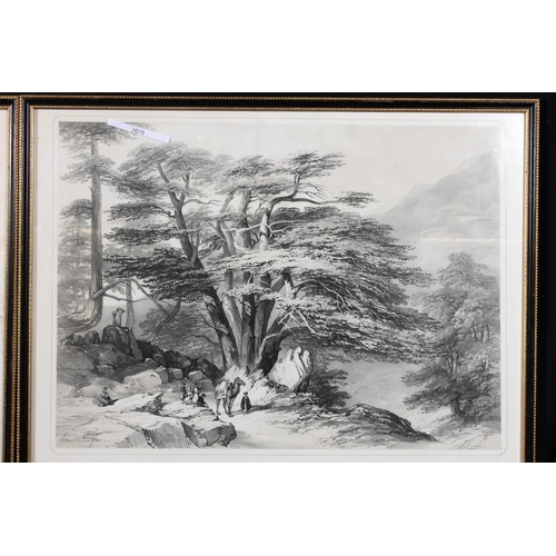 481 - Cedars of Lebanon and Gateway in the Temple of Baalbec, two lithographs by Dickinson & Son Litho... 