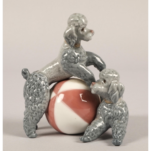 13 - Lladro figurine, two poodles with ball