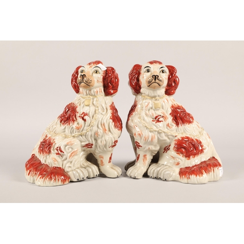 9 - Pair King Charles spaniel Staffordshire wally dogs