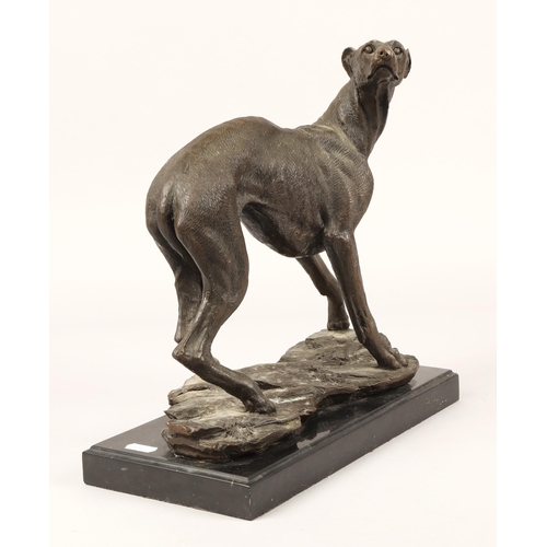 48 - Bronze figure of greyhound, approx. 30cm high