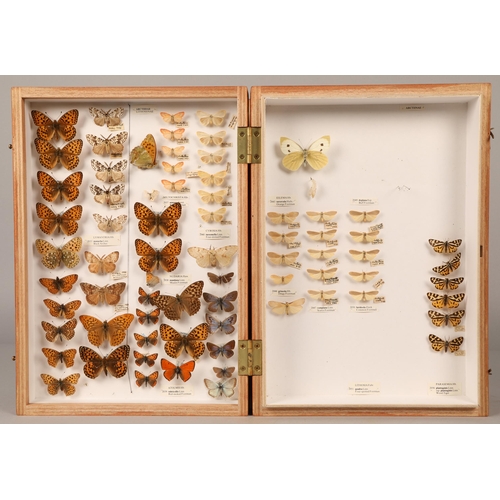 272 - Three wooden cases of preserved, pinned moths