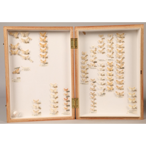 272 - Three wooden cases of preserved, pinned moths