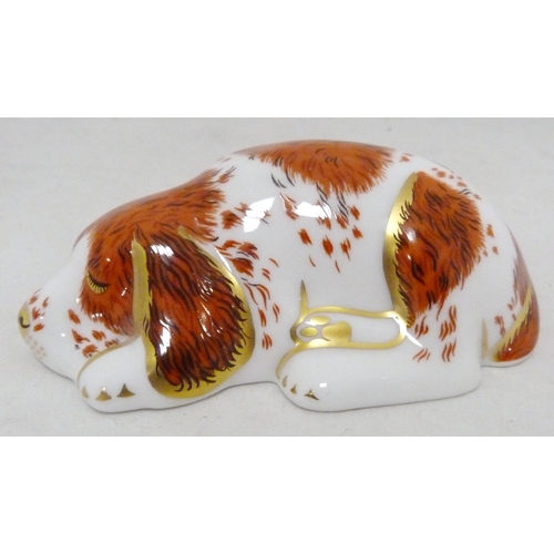 320 - Five Royal Crown Derby animal paperweights modelled as a meadow rabbit, puppy, bear, poppy mouse and... 