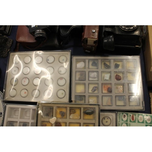 59 - Gemstone and mineral samples, in trays.