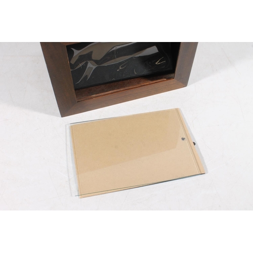 66 - Oak cased photograph album box.