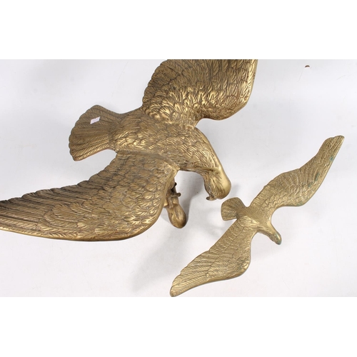 7 - Two brass eagles, largest 50cm.