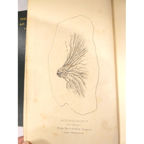 128 - BOLTON JOHN.  Geological Fragments from Rambles Among the Rocks of Furness & Cartmel. ... 