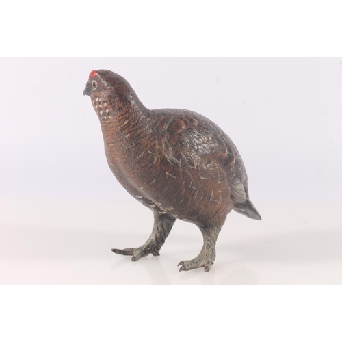 279 - Austrian cold painted bronze model of a grouse, the standing model with naturalistically painted bod... 