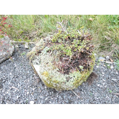 472 - Antique carved sandstone circular planter / trough. Height 21cm, Diameter 44cm.