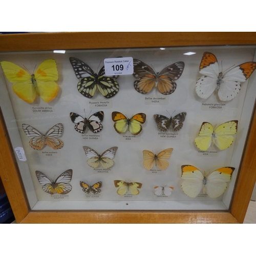 109 - Trillennium 'Century of Cabernet' wine bottle in a fitted case, wooden spoon and a butterfly display... 