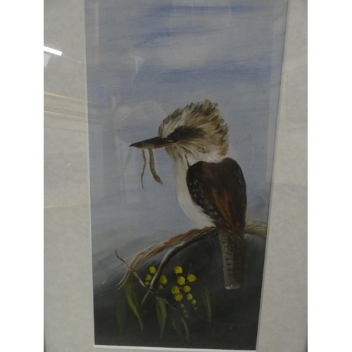 192 - Two botanical prints and a picture of a bird on a branch.  (3)