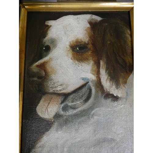 193 - Dog-related pictures to include an oil on board, pencil sketch and two prints (one shelf).  (4)