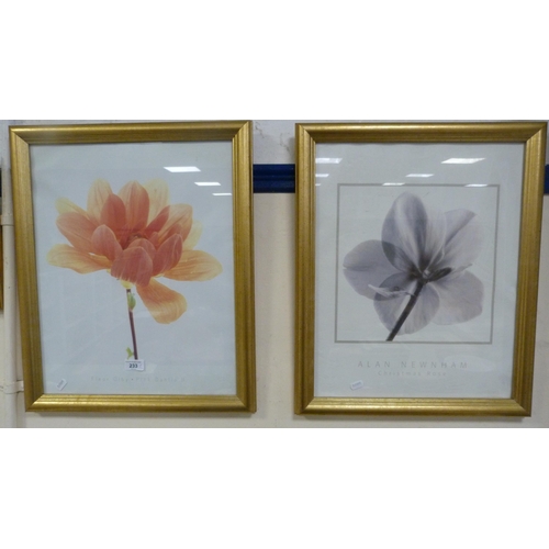 233 - Two modern prints of floral subjects to include 'Christmas Rose' by Alan Newham and 'Pink Dahlia'.&n... 