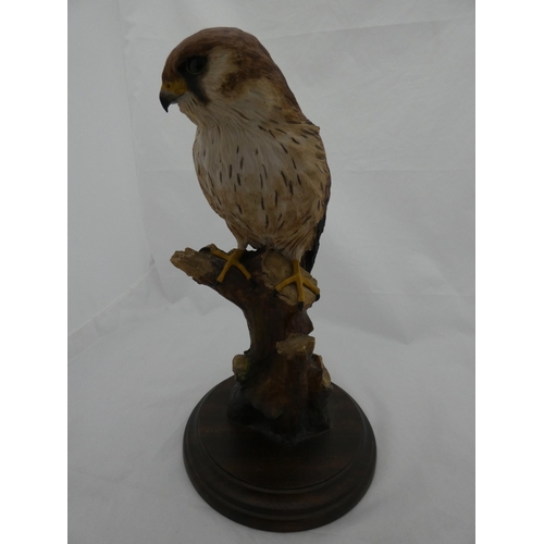 264 - Resin figure of a kestrel on a naturalistic stand and circular base.