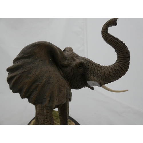 329 - Country Artists limited edition hand crafted figure of a bull elephant, no. CA948, a similar figure ... 