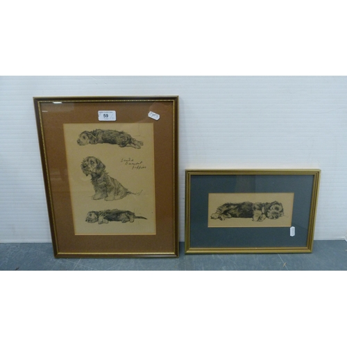 59 - Two prints of Dandy Dinmont puppies, one example after Lucy Dawson, both framed and glazed.  (2... 