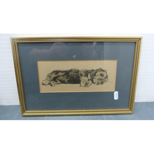 59 - Two prints of Dandy Dinmont puppies, one example after Lucy Dawson, both framed and glazed.  (2... 