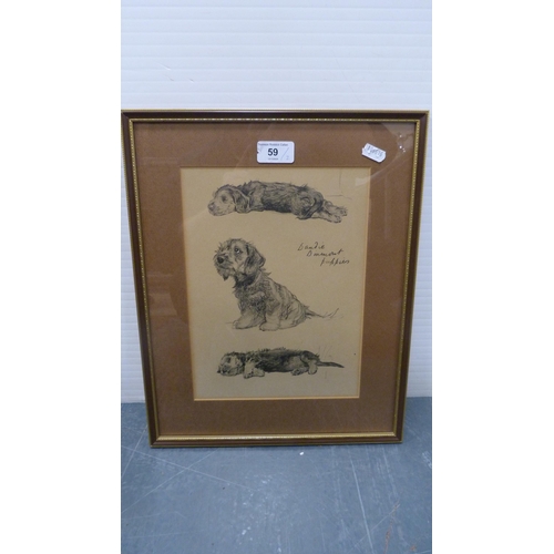 59 - Two prints of Dandy Dinmont puppies, one example after Lucy Dawson, both framed and glazed.  (2... 