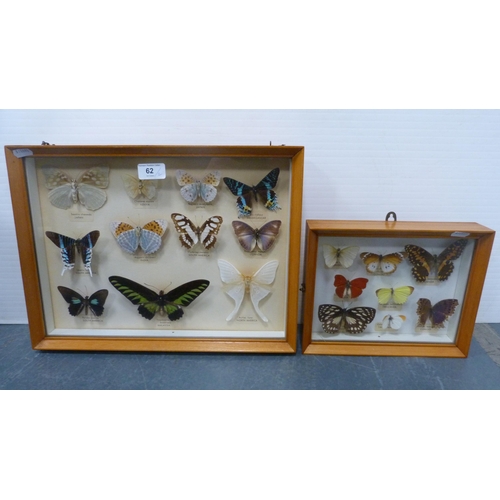 62 - Two taxidermy butterfly displays, framed and glazed, to include African, South American, Japanese, a... 