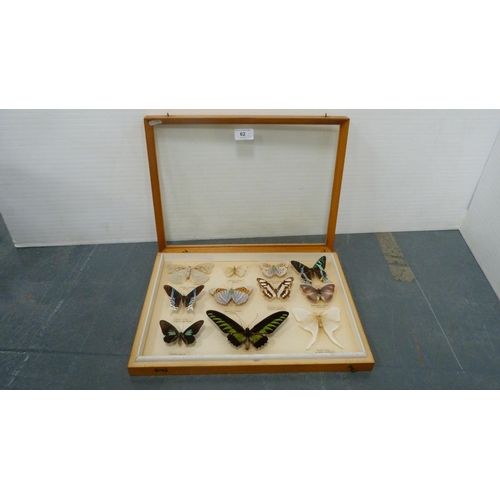 62 - Two taxidermy butterfly displays, framed and glazed, to include African, South American, Japanese, a... 