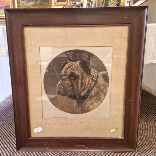 433 - Herbert Thomas Dicksee R.E. (1862-1864)'Bulldog'Framed engravingsigned and dated 191340cm x 40cm... 