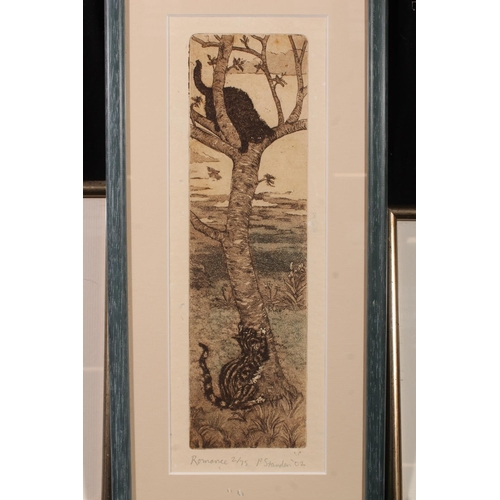 472 - PETER STANDEN, Romance, Bird Watching and Restaurant Cat, three limited edition etchings of cats, ea... 