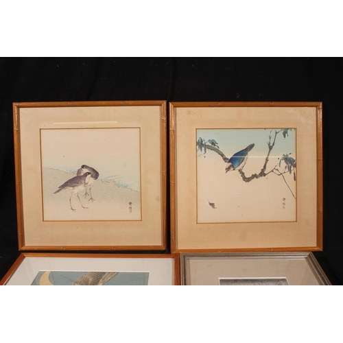 483 - JAPANESE SCHOOL, four ukiyo-e woodblock prints of birds, 22cm x 24cm, frame 36cm x 37cm and another.... 