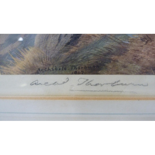 427 - Archibald Thorburn (Scottish, 1860 - 1935)Golden Eagle PerchedPencil signed colour print from the or... 