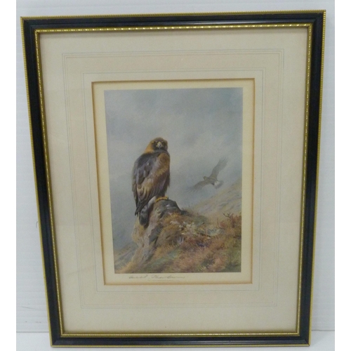 427 - Archibald Thorburn (Scottish, 1860 - 1935)Golden Eagle PerchedPencil signed colour print from the or... 