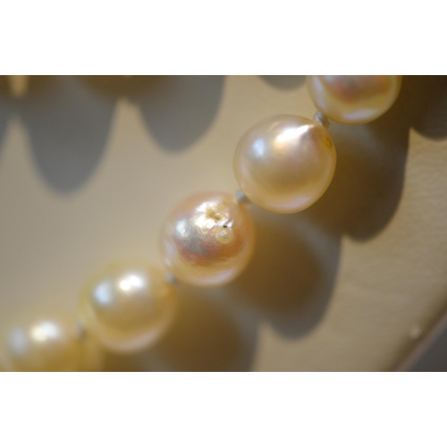 178 - Double-strand cultured pearl necklace, approximately seventy-five pearls in total, each measuring ap... 