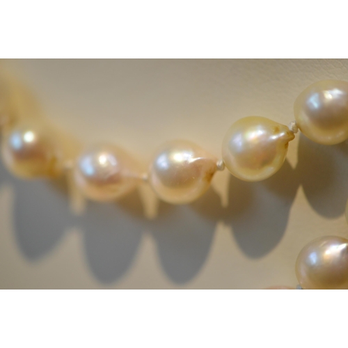 178 - Double-strand cultured pearl necklace, approximately seventy-five pearls in total, each measuring ap... 