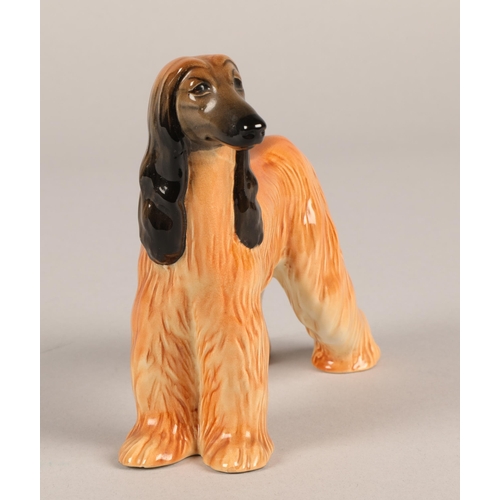 8 - Beswick model Hajubah Of Davlen Afghan hound...